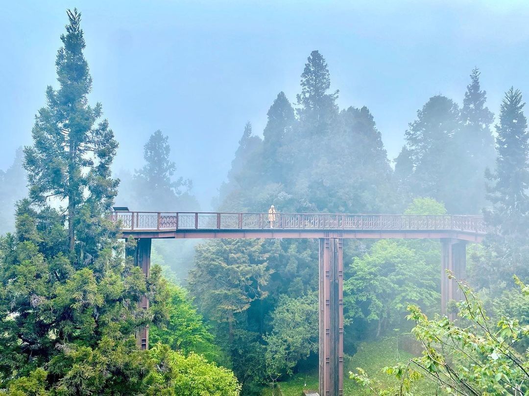 ｜阿里山 #沼平車站 天空步道 ｜全台海拔最高的天空步道！ 和巨木一起高聳入雲端，感受在仙境漫遊的悠閒-⠀⠀⠀⠀⠀⠀⠀⠀⠀⠀⠀感謝...