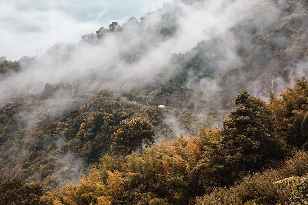 #療癒阿里山一層薄霧浮在山巒就像山神的面紗！ ⬇【想讓你的美照有更多曝光？】⠀⠀⠀⠀⠀⠀⠀⠀⠀⠀⠀在貼文 #travelalish...