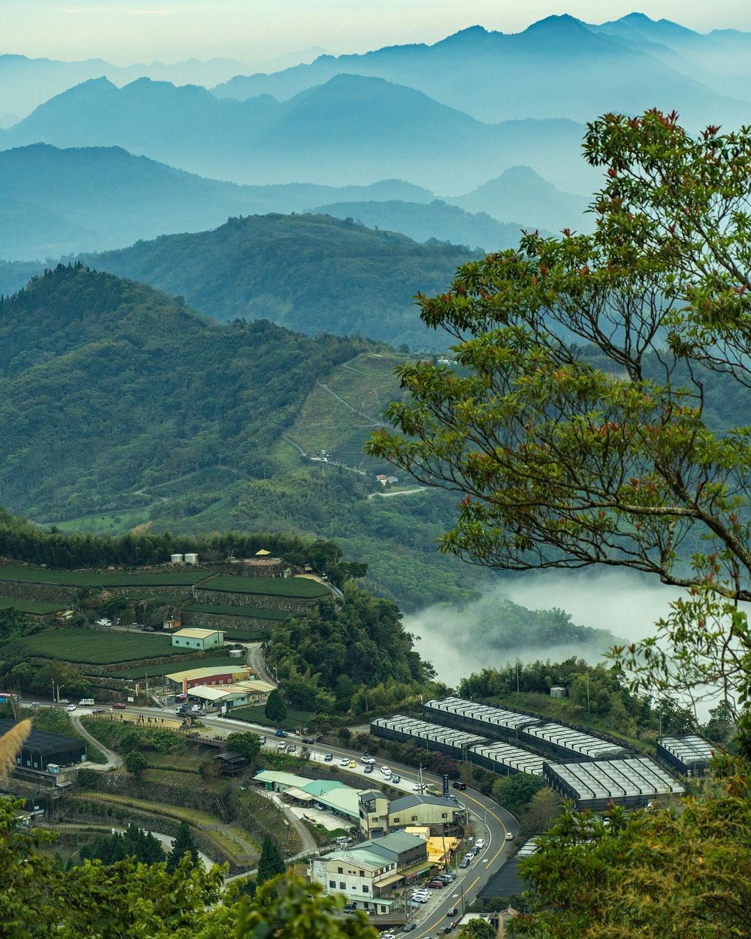 生活中不是缺少美，而是缺少發現。欣賞不在少數的阿里山美拍，總能被驚喜到~大家很會發現美的視角耶❤照片授權 @mt_blublubl...