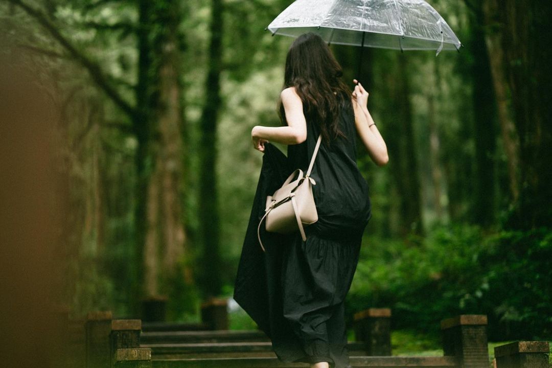 #療癒阿里山撐一把剔透的傘，你在森林裡赤腳輕跳「原來世界真的有精靈存在。」我這麼想悄悄地，用鏡頭捕捉──只有在阿里山才能遇見的奇幻...