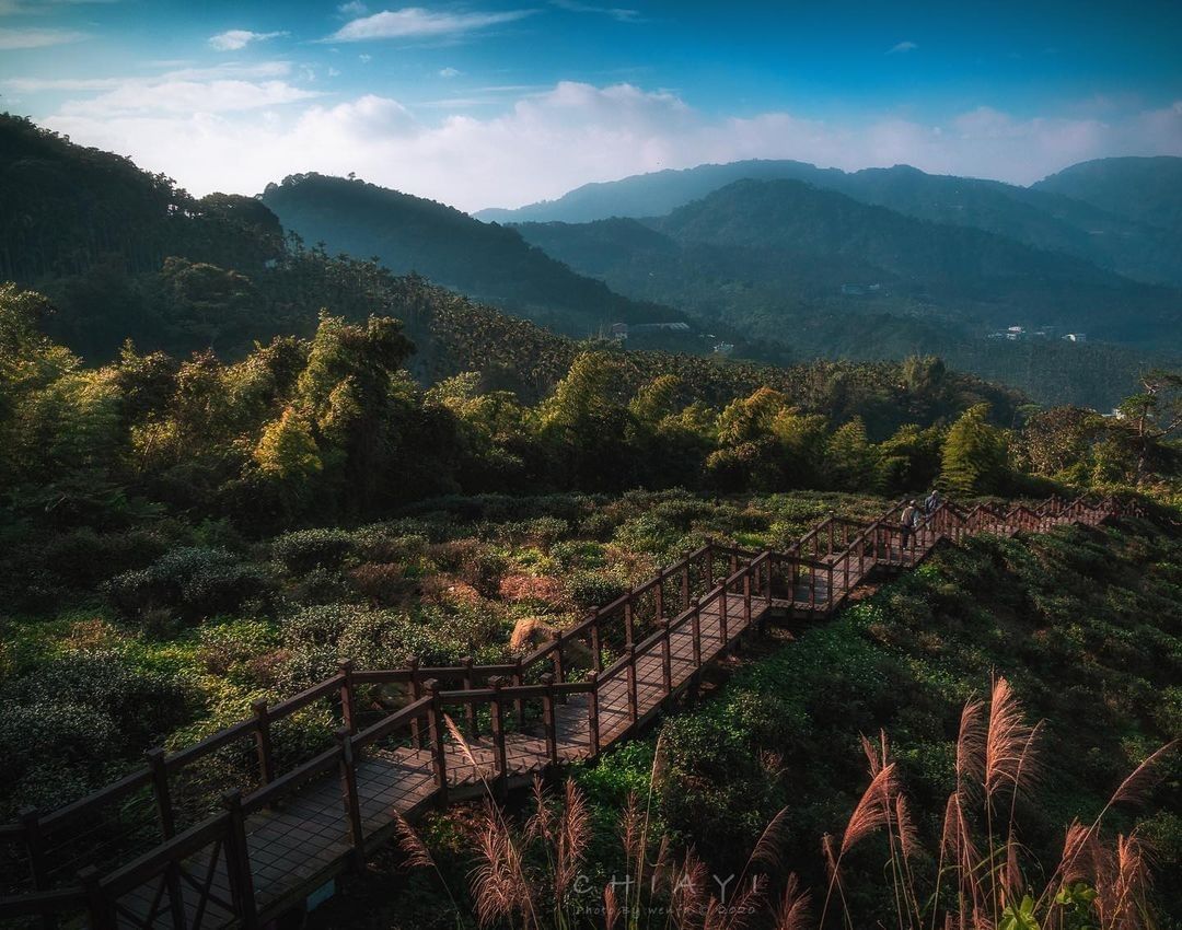 #遠距在家來看阿里山 走在步道上，看著翠綠的茶園小編想念這被茶園圍繞的步道了（感謝 @wenfa_su  分享美照）-⠀①【防疫踏...