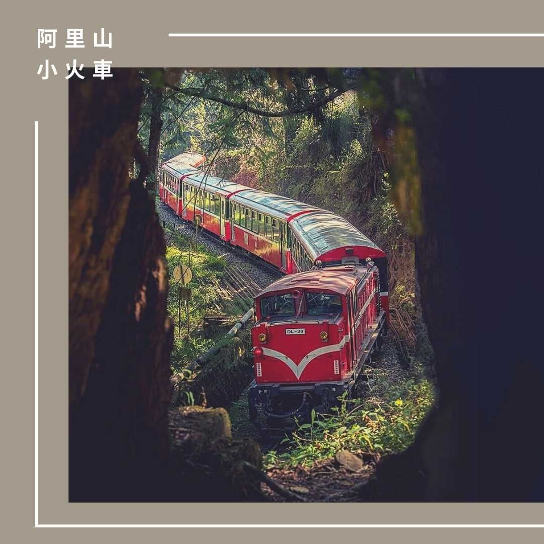 ｜阿里山 #小火車｜終於星期五了！歡呼！帶大家看樹洞裡的小火車，就像毛毛蟲穿梭在樹林裡呀！超可愛 ❤ ⬇【想讓你的美照有更多曝光？...