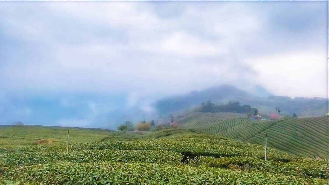 雲霧繚繞在綠色山峰之間美麗的阿里山，讓人看不膩！ ⬇【想讓你的美照有更多曝光？】⠀⠀⠀⠀⠀⠀⠀⠀⠀⠀⠀在貼文 #travelali...