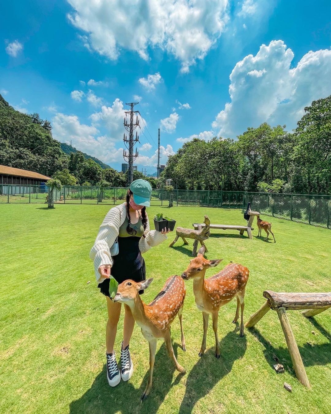 鄒族逐鹿文創園區&傳說梅花鹿園阿公阿嬤爸爸媽媽小朋友通通帶來！不用怕走不動的親子景點放假就來這裡吧！照片授權 @lianyi.ch...