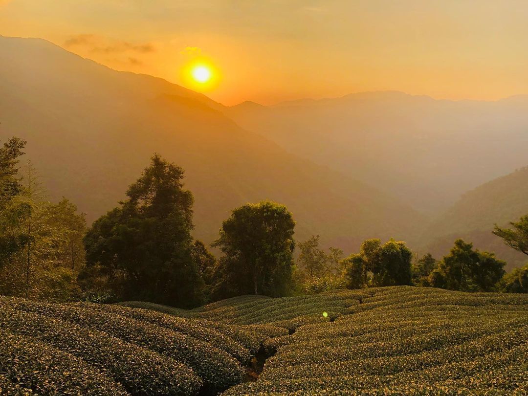梅山瑞里的美你說~這是日出還是夕陽呢照片授權 @taiwanhobang -⠀歡迎在您的貼文 #travelalishan 或 @...