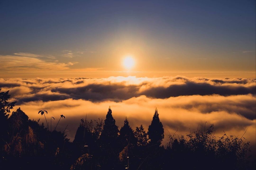 #遠距在家來看阿里山 溫暖的陽光會持續照耀著我們當我們覺得世界有點冷漠、孤單的時候看看它吧，溫暖是在自己心中（感謝 @shuan_...