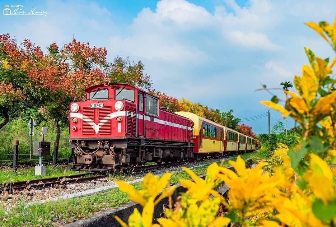 #療癒阿里山 好像明信片上的風景！黃花、藍天、白雲、小火車 阿里山的夏天，正要開始...⬇【想讓你的美照有更多曝光？】⠀⠀⠀⠀⠀⠀...