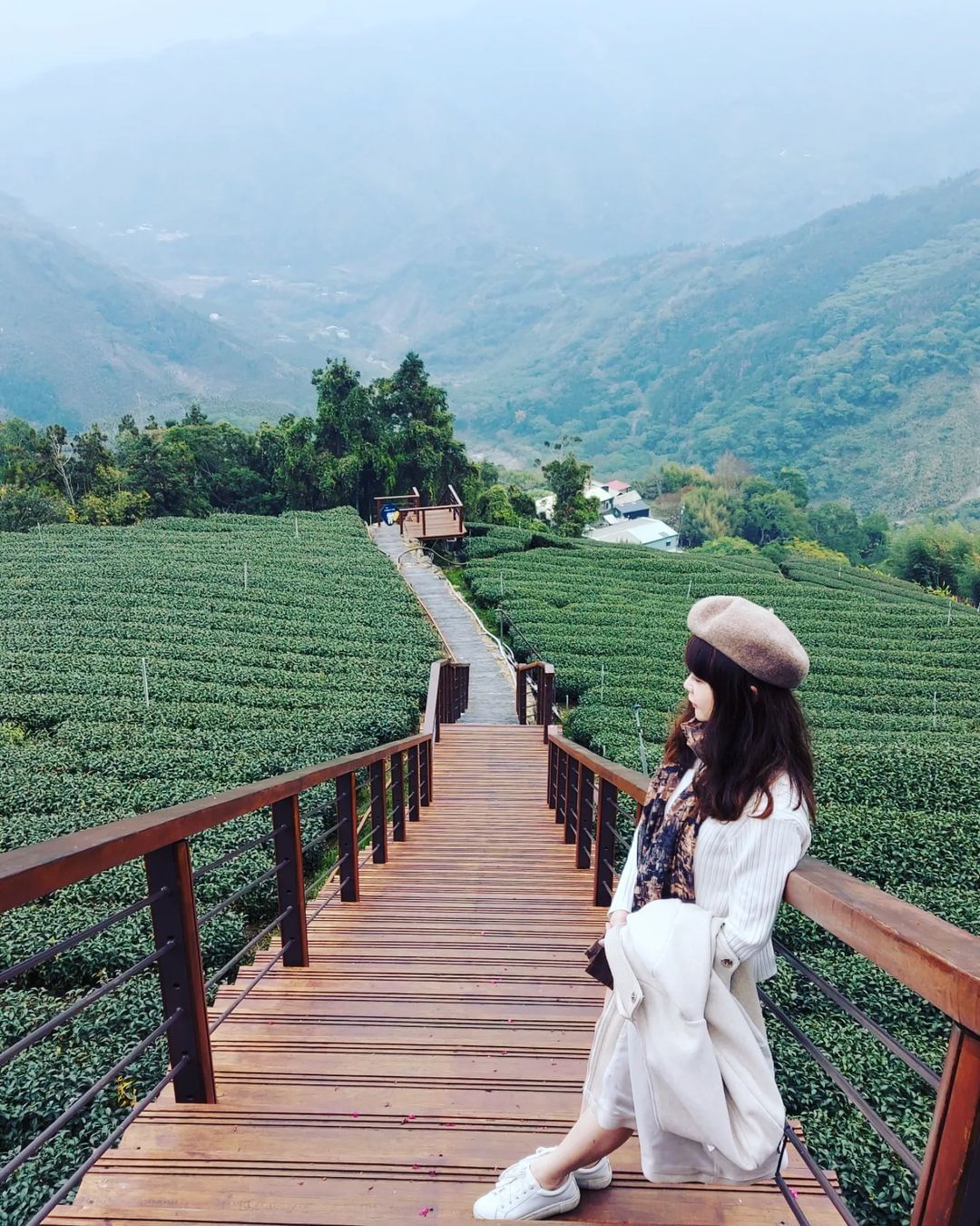 巃仔尾步道兩旁整齊劃一的茶園，還有右側可愛的象山，零死角的梅山絕美步道，來了就不要錯過囉！照片授權 @tsaiyungyi -⠀歡...