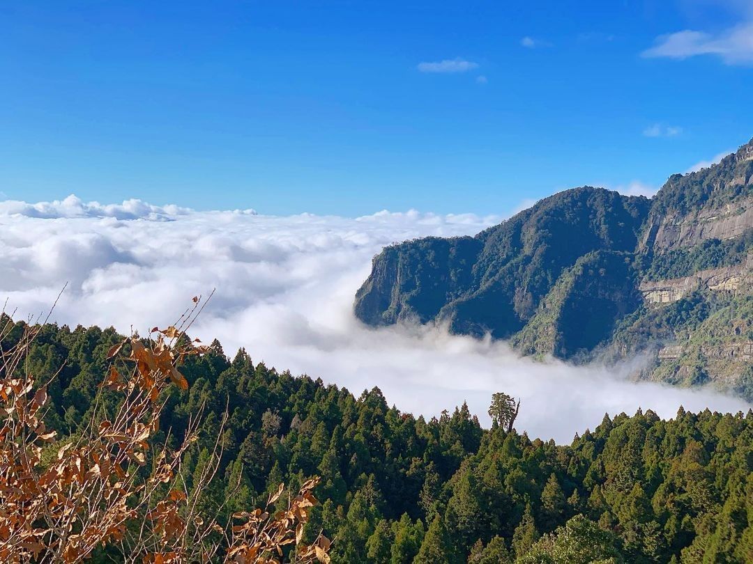 #遠距在家來看阿里山 突然想起那時第一次在阿里山看到雲海時的悸動而這股悸動，是每次雲海出現時都會有的（感謝 @winforfood...