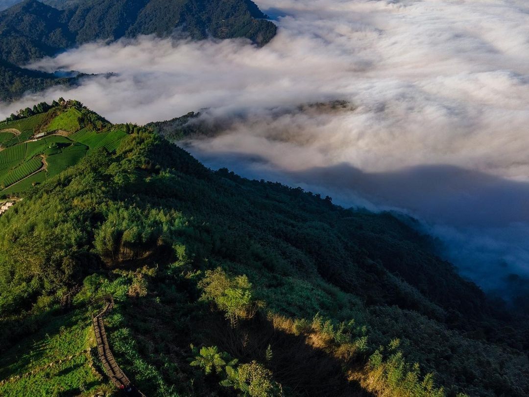 #遠距在家來看阿里山 從俯瞰的角度看阿里山像被群山環抱有沒有飄飄欲仙的感覺（感謝 @zhi__zong  分享美照，讓我們從不同角...