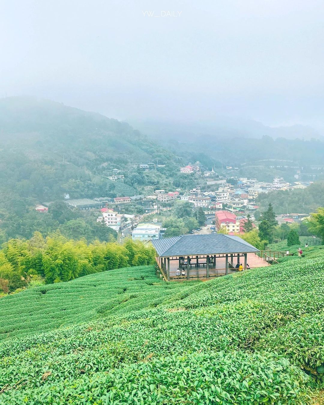 #遠距在家來看阿里山 有時候，對阿里山的印象就是霧濛濛的但就是因為霧濛濛的，讓阿里山多了迷幻感當雲霧散去時，太陽現身，灑落在翠綠的...