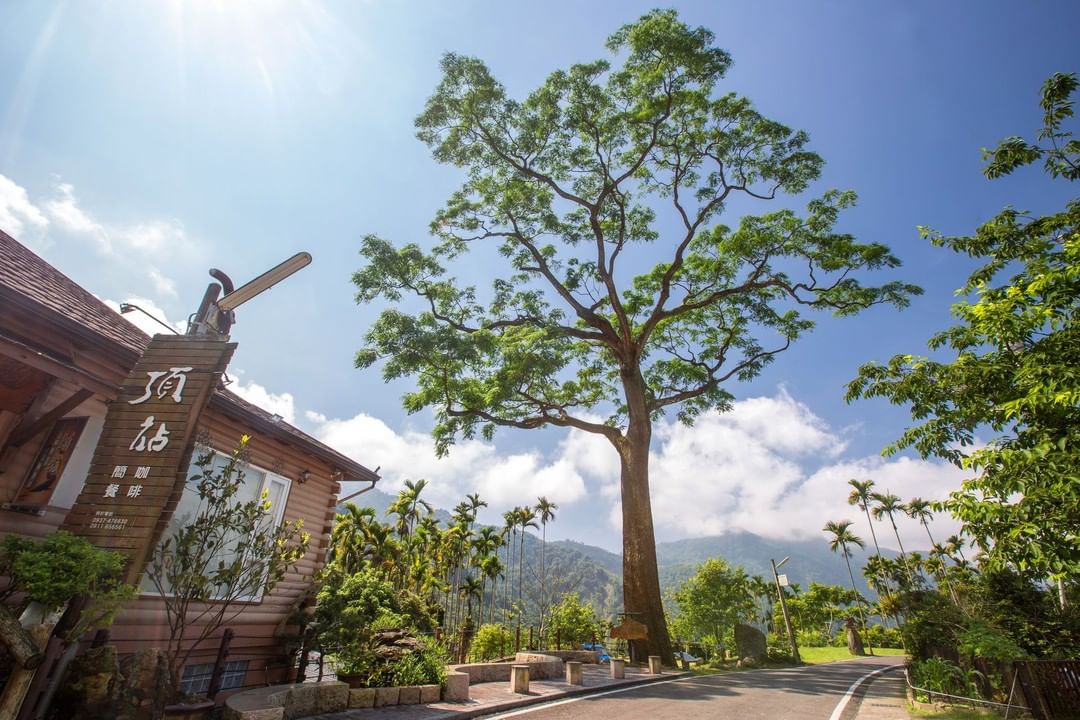 #遠距在家來看阿里山 #防疫不鬆懈苦楝老樹還記得那棵全台最大的苦楝樹嗎?就像那個默默守護著你的人一樣它也在頂笨仔等你去找它唷-⠀①...