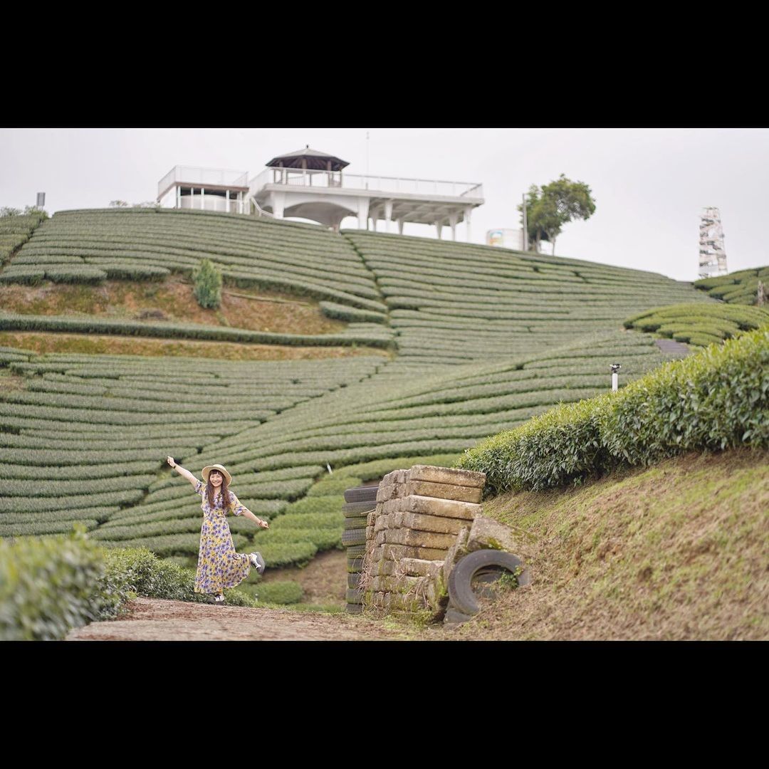 #遠距在家來看阿里山 #防疫不鬆懈 希望每個人來阿里山都能快快樂樂享受在山上悠閒的時光（感謝 @catrina131434  分享...