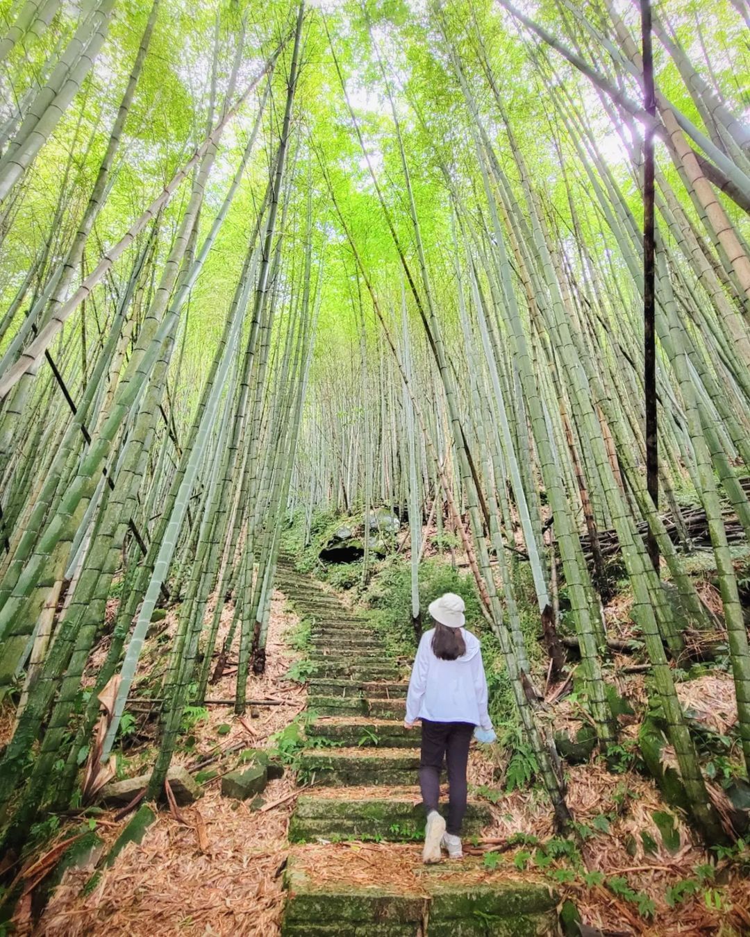 瑞里綠色隧道那陣涼風帶來簌簌聲響，為炎熱的天氣帶來消暑氣息照片授權 @yuki.lin.18 -⠀歡迎在您的貼文 #travela...