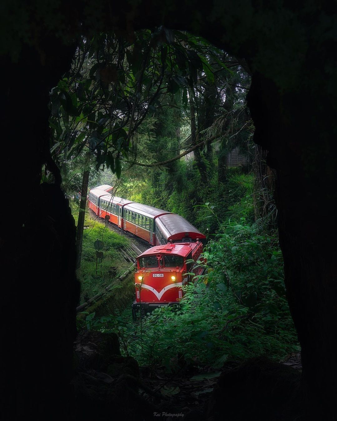 #遠距在家來看阿里山 #防疫不鬆懈 穿梭在森林中的小火車只有在阿里山才看得到~（感謝 @shengkai_travel  分享美照...