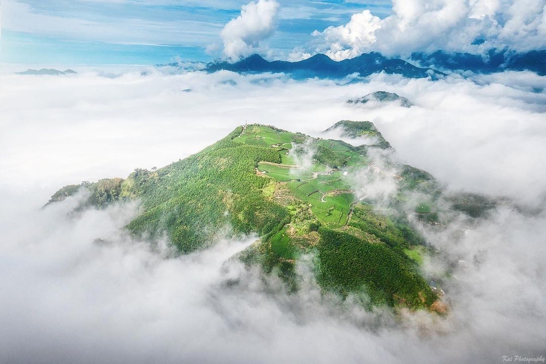 #遠距在家來看阿里山 #防疫不鬆懈 讓我們看見阿里山由上往下一片綠油油好療育（感謝 @shengkai_travel  分享美照）...