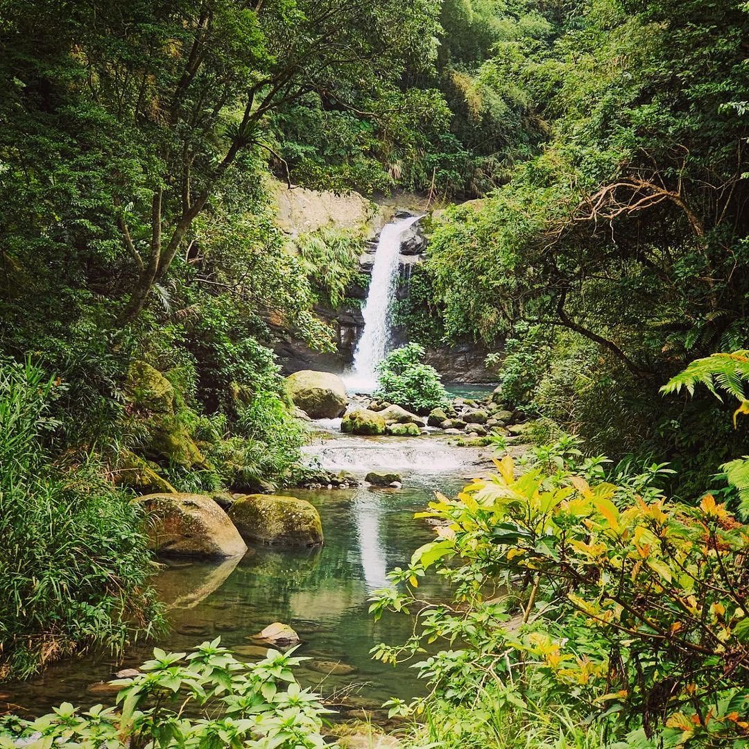 輕鬆版本的健行路線，夏日避暑的好去處園區裡有三個小瀑布，沿著溪而行、有流水聲相伴的步道，Fun暑假了~親子旅遊從這裡開始照片授權 ...