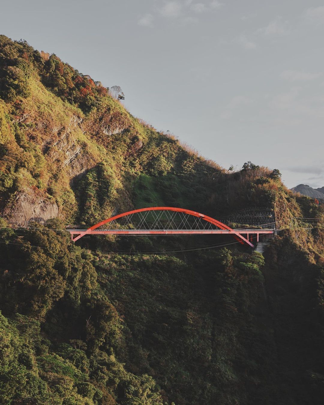 阿里山山裡的橋不多，與山相襯卻成了另一道風景，彷彿在訴說著這山頭的歲月照片授權 @travie00000 -⠀歡迎在您的貼文 #t...