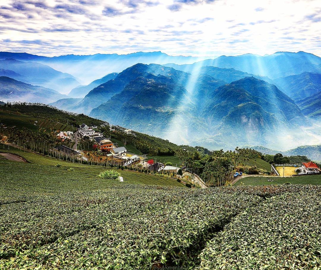 雲隙光瑞峰有1314觀景台，碧湖有碧湖觀景台。在不同的山頭，都可以看日出、大片美麗茶園、眺望山脈，看似擁有同樣的元素，卻有各自獨特...