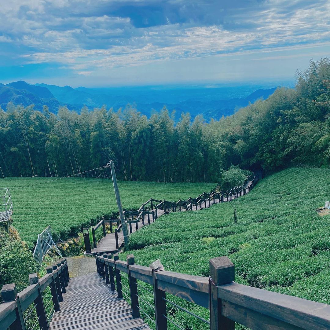 周末想出門又不知道要去哪裡嗎?阿里山也可以輕鬆一日遊！開車一個小時到山上走個輕鬆的步道、吃個風味餐，找間特色茶棧來個下午茶，傍晚時...