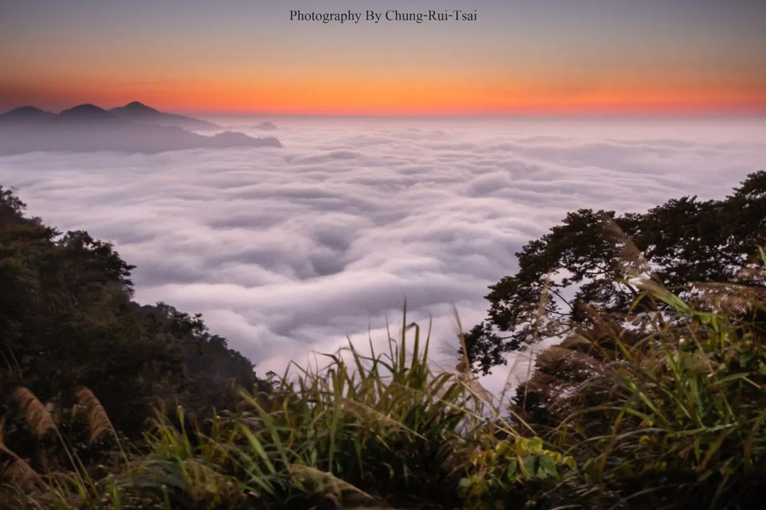 這幾天山區頻繁下雨，山區部分道路有零星落石與路樹倒塌，若需要上山一定留意路況、小心行駛喔！讓我們期待雨勢和緩再到山上旅行賞景照片授...