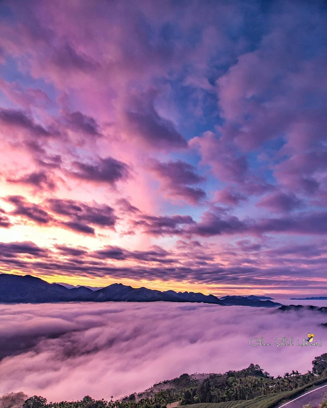 #遠距在家來看阿里山 #防疫不鬆懈 沒想到碧湖觀景平台的日出這麼美好喜歡漸層式的雲朵粉紫色的天空好夢幻（感謝 @shih_hsua...