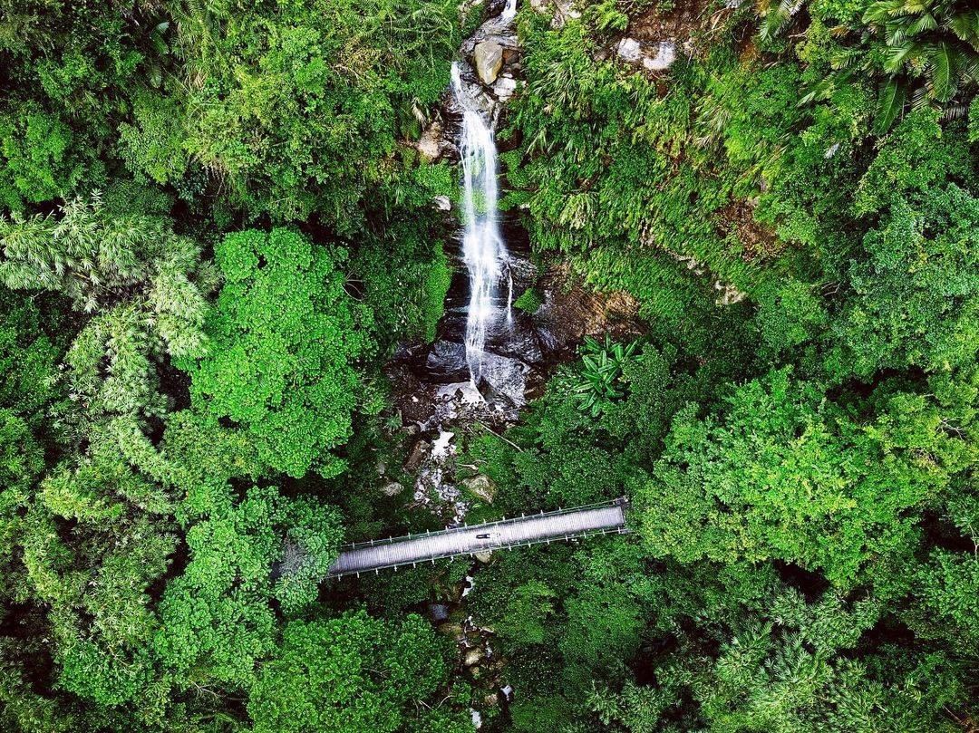 #遠距在家來看阿里山 #防疫不鬆懈 再來一張空拍看見阿里山這角度看雷音瀑布真的好美吊橋就顯得小小的竹坑溪步道也是阿里山必走的步道之...