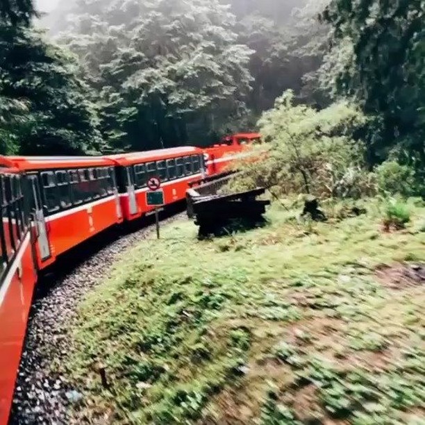 #遠距在家來看阿里山 #防疫不鬆懈 穿梭在綠色樹影間的紅色身影配上像心跳般穩健的引擎轟隆聲還有甚麼比這更療癒的呢（感謝 @shar...