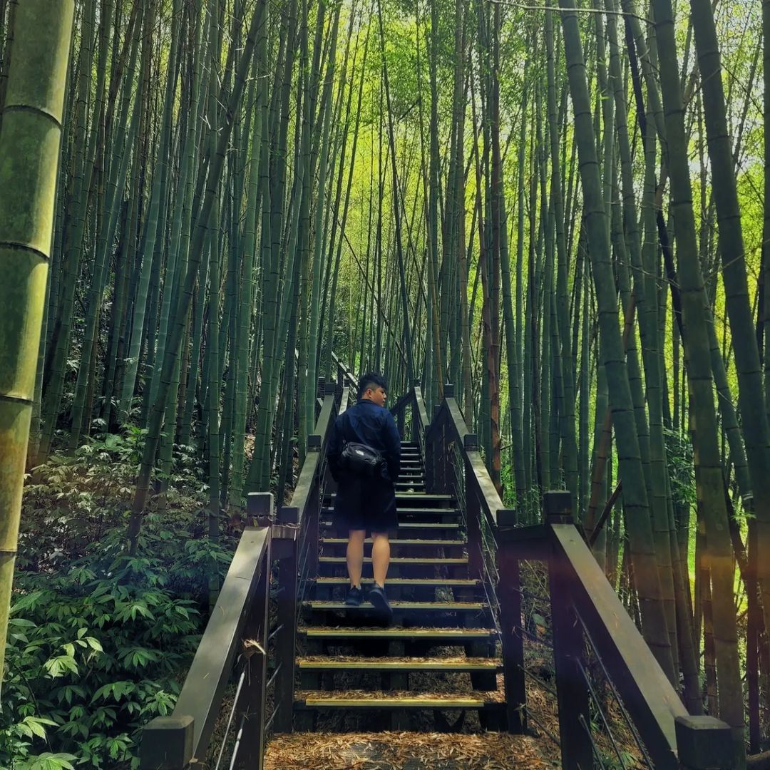 不曉得是不是錯覺今年特別炎熱呀~看看竹林消消暑照片授權 @shenhong916 -⠀歡迎在您的貼文 #travelalishan...
