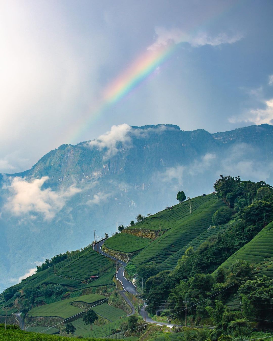 無法言語的景色_________彩虹與山巒的融合，前景是層層推疊茶園，形成絕美的一幅畫。照片授權 @liweicheng0411 ...
