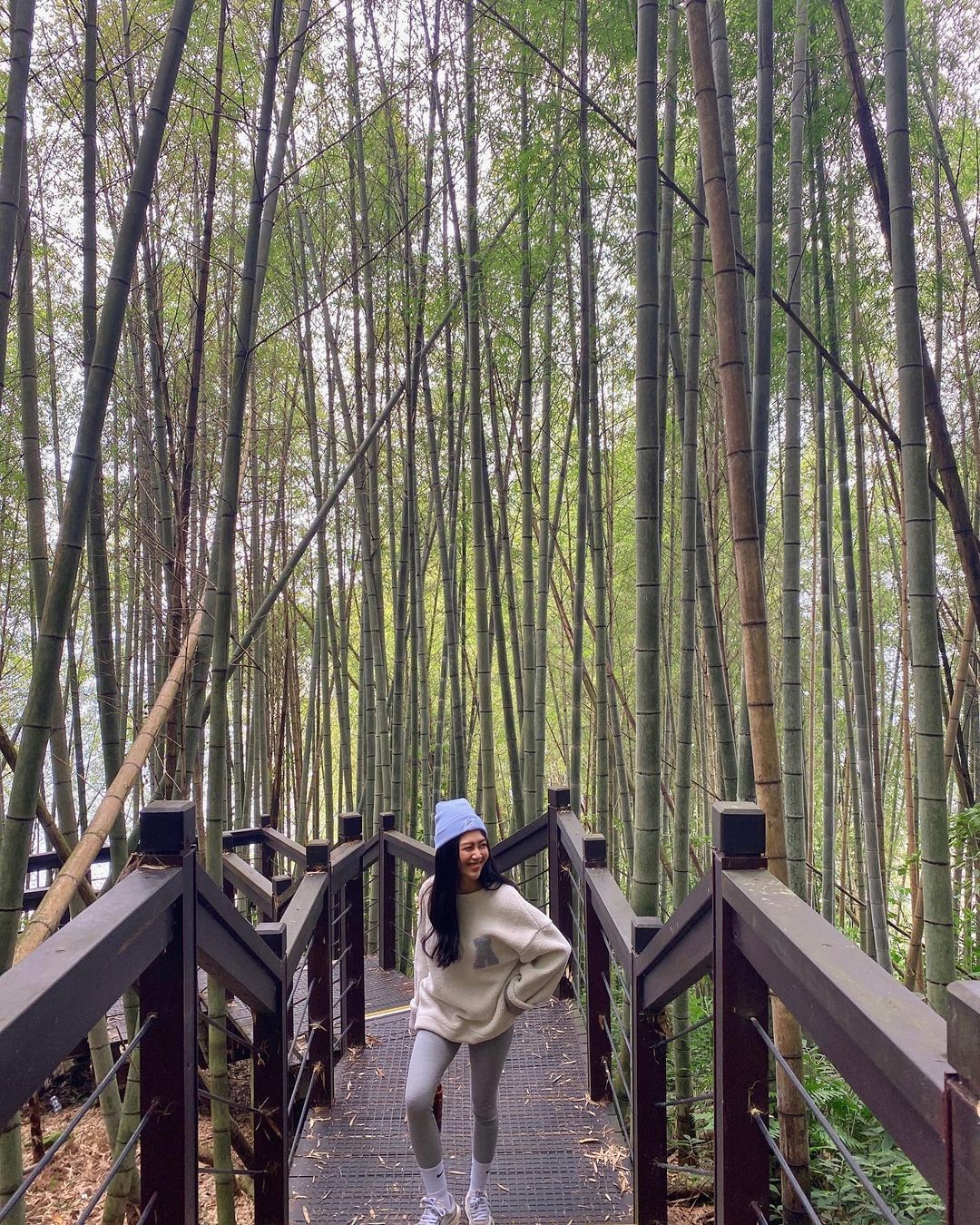 輕輕鬆鬆 get ✅一條美美的阿里山步道！看著竹林想像置身在涼爽的大自然之中~照片授權 @amberkao063 -⠀歡迎在您的貼...