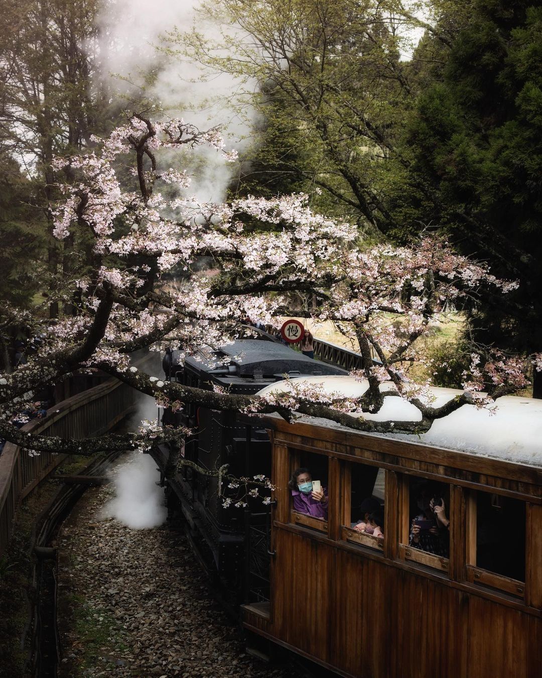 能感受到阿里山國際級的魅力嗎照片授權 @bo_xiang_0709 -⠀歡迎在您的貼文 #travelalishan 或 @tra...