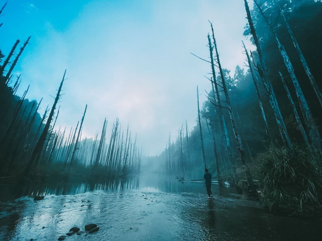#遠距在家來看阿里山 #防疫不鬆懈 直指天際的樹木映照在水面上縈繞著的霧氣彷彿蒙上一層薄紗也帶來幾分神秘感所以說你各位啊 怎麼這麼...