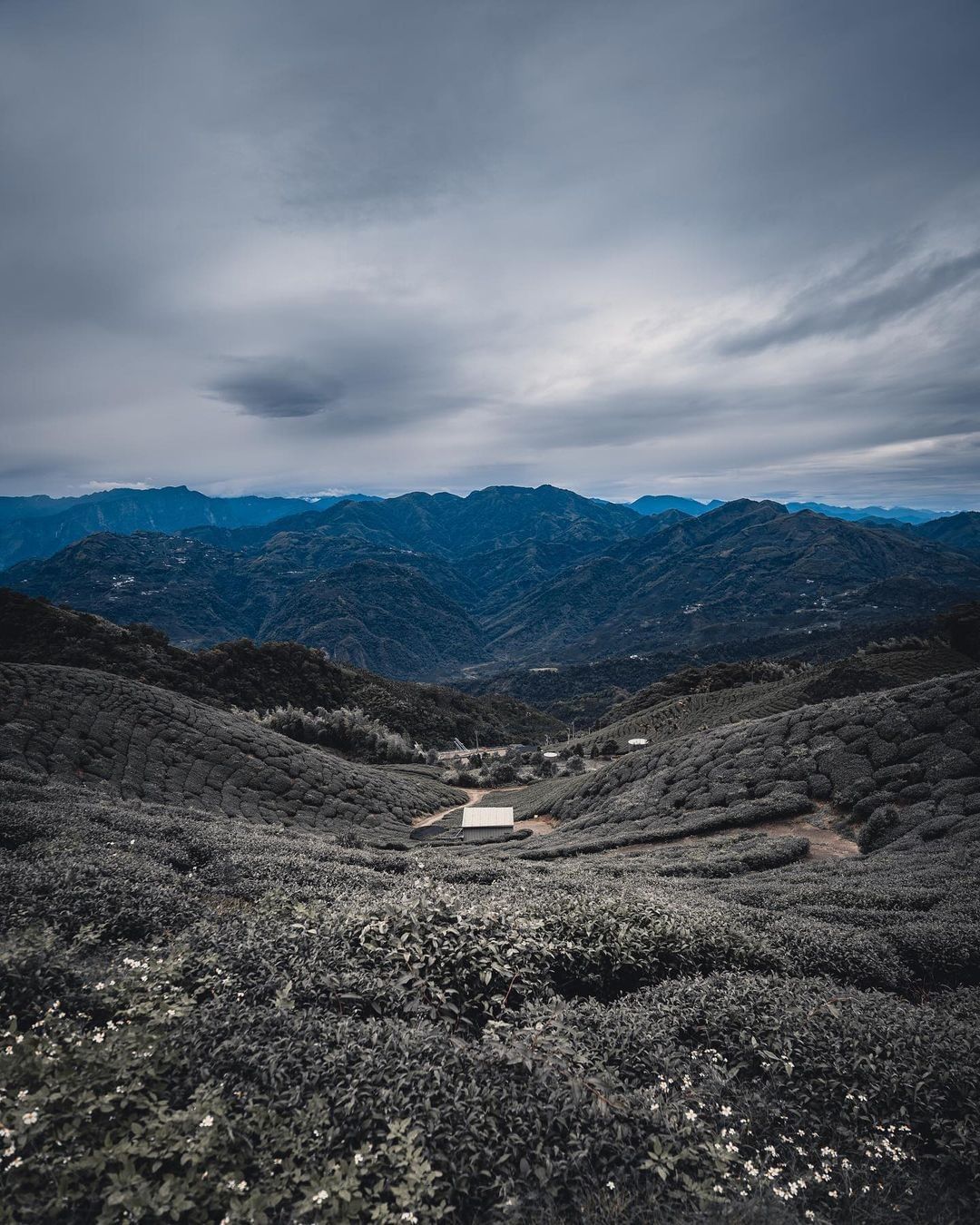 #遠距在家來看阿里山 #防疫不鬆懈 站在山稜上看到遼闊的山景再遠再累，都值得了!（感謝 @alenrod  分享美照）-⠀①【防疫...