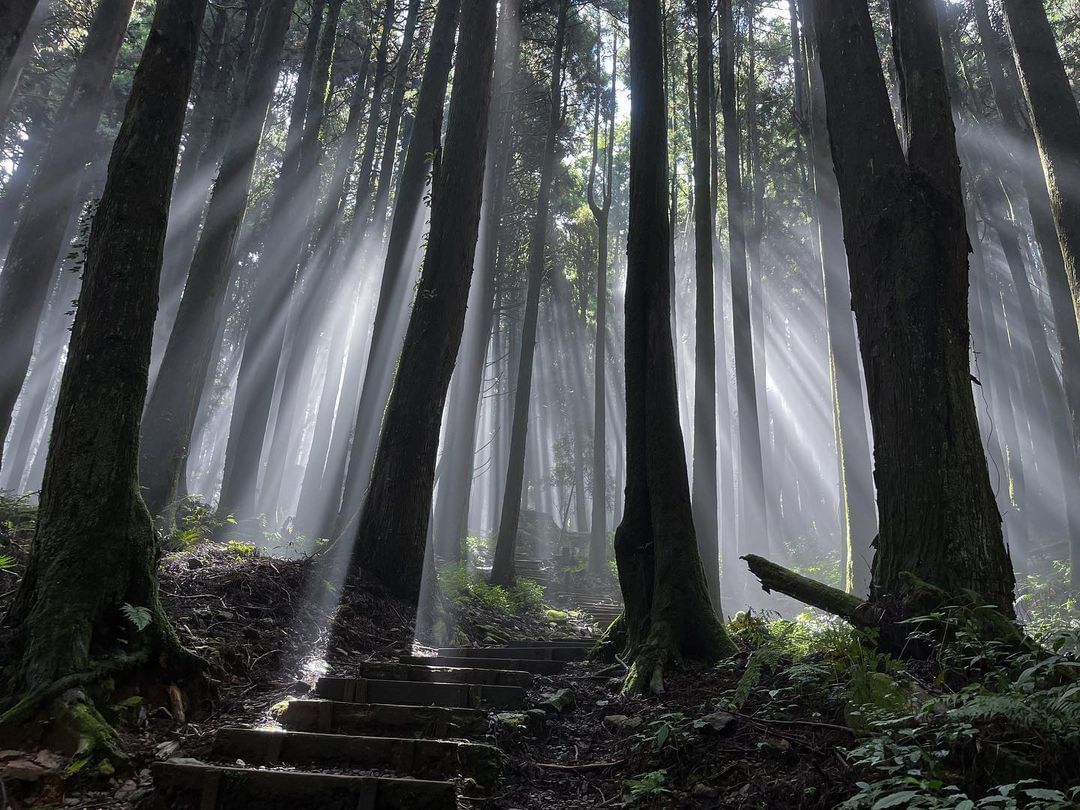 這幾天深刻感受平地與山區的天氣差異，美麗的山林潛在著危險，願我們都能珍惜❤照片授權 @justin_chen_1020 -⠀歡迎在...