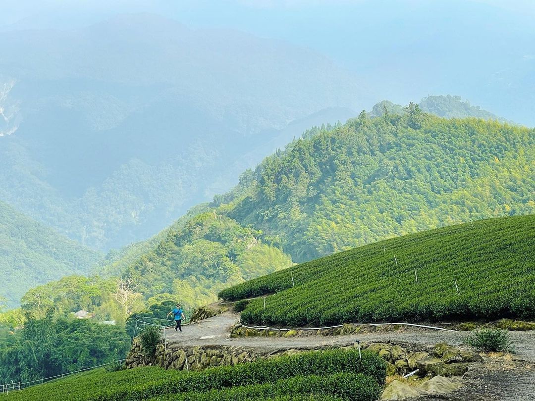 #遠距在家來看阿里山 #防疫不鬆懈 嘿，讓我們一起散步在這山間小徑沒有噪音、沒有廢氣，只有大自然陪伴的好地方（感謝 @surpas...