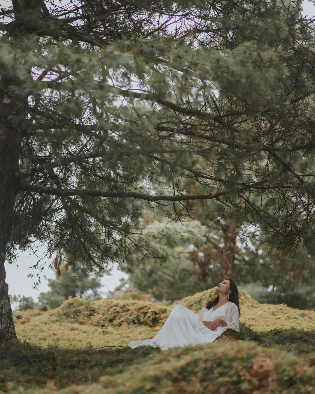 #遠距在家來看阿里山 #防疫不鬆懈 美麗的白色洋裝配上林木圍繞就像漫遊在秘境中的精靈‍♀（感謝 @look1221 分享美照）-⠀...