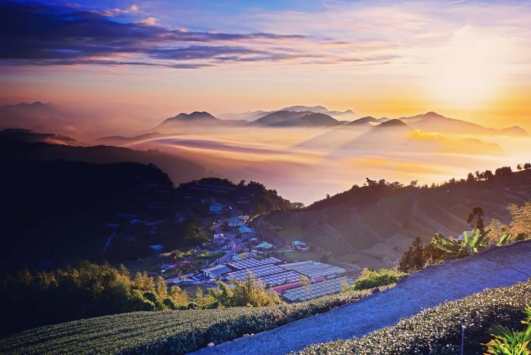 #遠距在家來看阿里山 #防疫不鬆懈 雲海火燒雲斜射光就是要在傳說中的傳說路才能看到這傳說中的景色（感謝@yuprince0905 ...