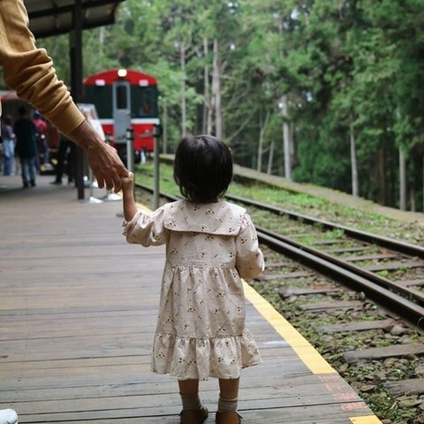 #在家來看阿里山 或者 #戴上口罩再去玩 ‍♂️目光看向緩緩駛近的小火車小小的手緊緊牽著爸爸幾乎可以想像那雙小小的眼睛綻放著如何的...