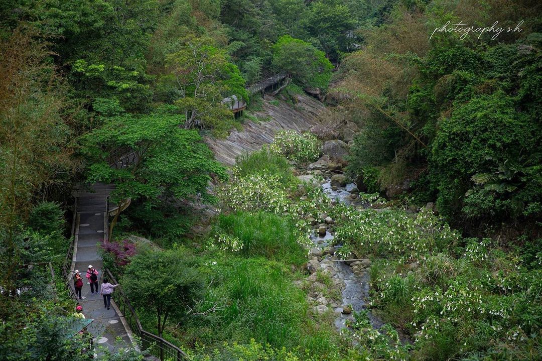 很少以俯瞰角度看圓潭生態園區，真的是與山跟溪流相伴啊~舒適平緩的步道，帶著全家人來散步吧！照片授權 @i_amsahuang -⠀...