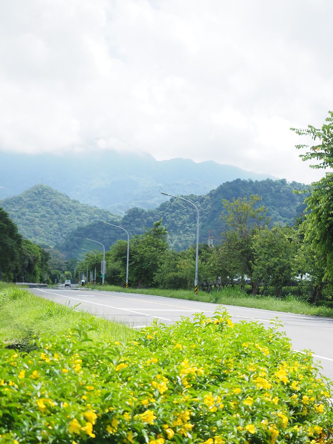 阿里山公路(台18線)是不是很美每天開車往返的路上(雖然只在觸口啦~)還是會為眼前的山或是晚霞給迷住，好想立刻拍下來！但請不要這麼...