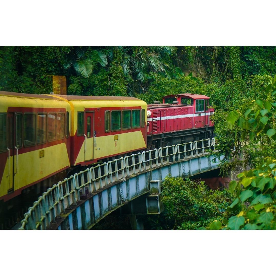 #在家來看阿里山 或者 #戴上口罩再去玩 ‍♂️紅黃相間的小火車穿梭在綠色的樹林之間真的是百看不厭的景色（感謝 @zong_pho...