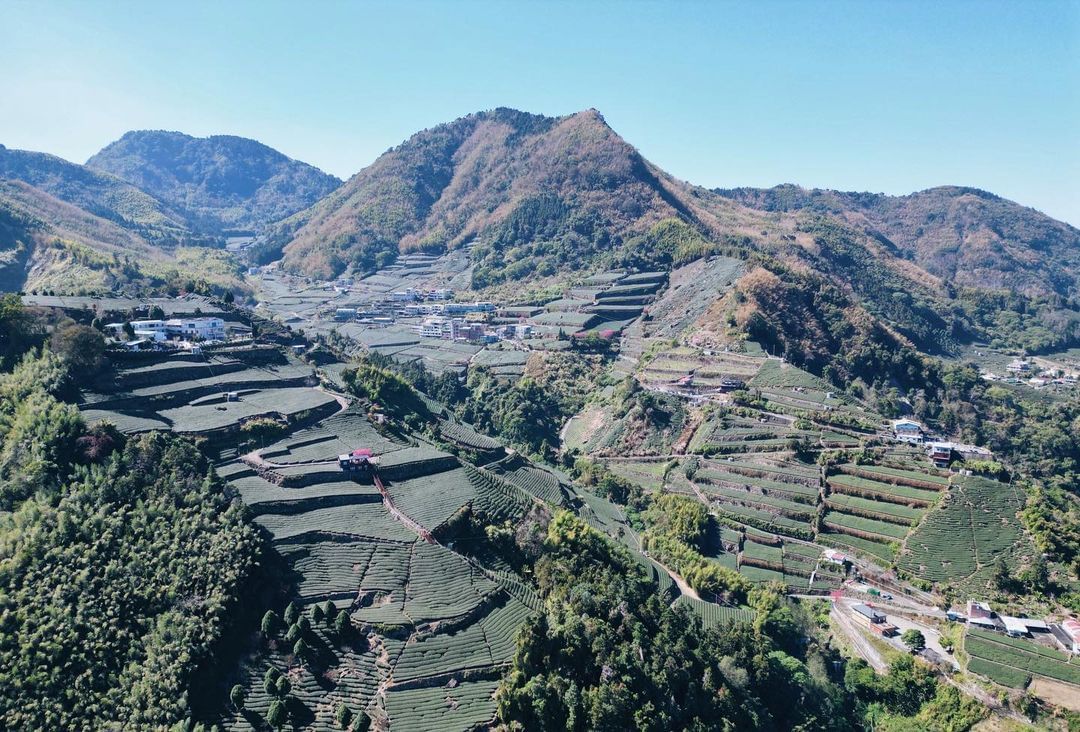 很愛的樟樹湖茶園，換個角度看更遼闊的風景照片授權 @gaotai.tea -⠀歡迎在您的貼文 #travelalishan 或 @...