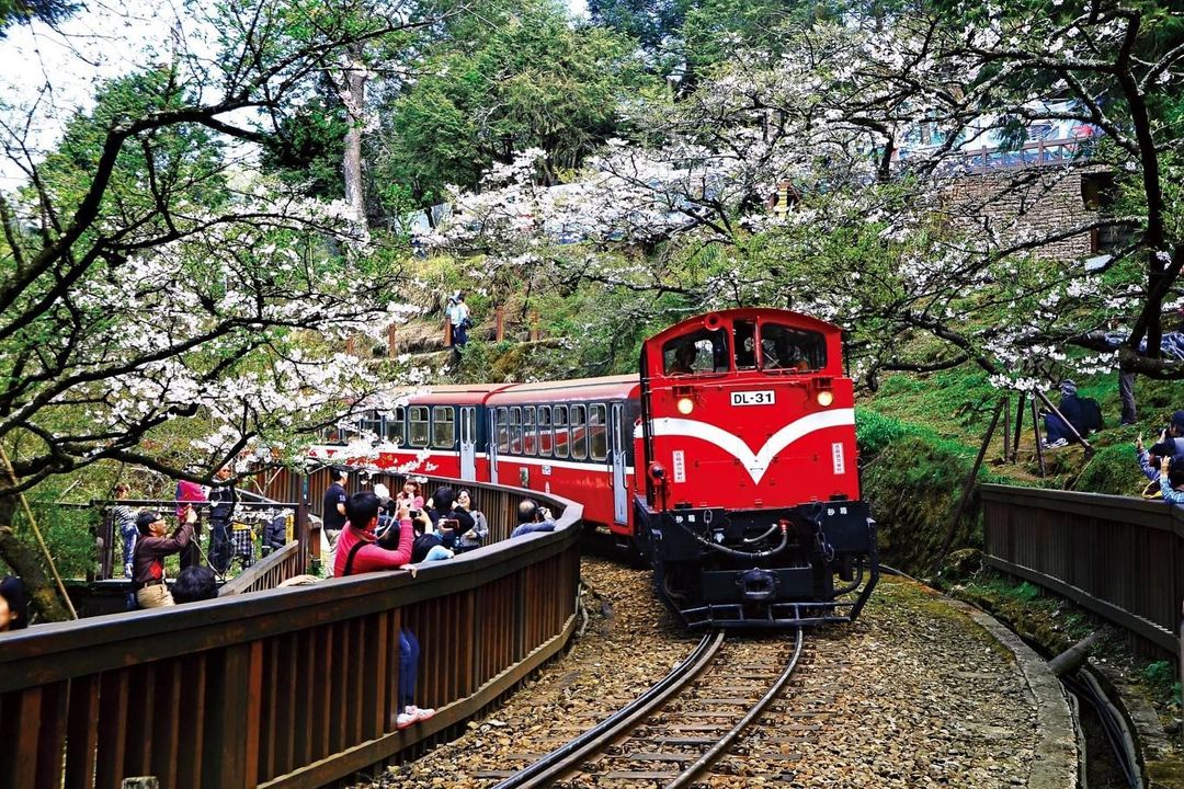 〚ℕ新推出〛「阿里山FunPASS」帶你暢遊阿里山✹從阿里山國家森林遊樂區到日月潭纜車，「FunPASS」帶你遊覽台灣的國際魅力...