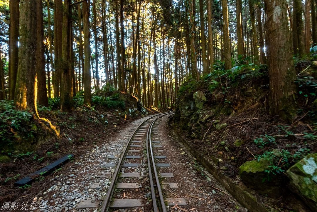 人氣步道特富野古道，期待重新開放的那天~~~照片授權 @mr._shen.11.11-⠀歡迎在您的貼文 #travelalisha...