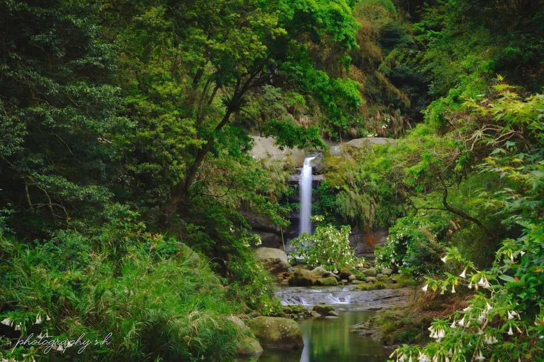 瀑布、溪流、植物園，來感受圓潭豐富的生態今年的秋季茶會就在圓潭生態園區⇝四季茶旅 - 夏季茶會⇜◞ 時間｜..㊅ :-:◞ 地點｜...