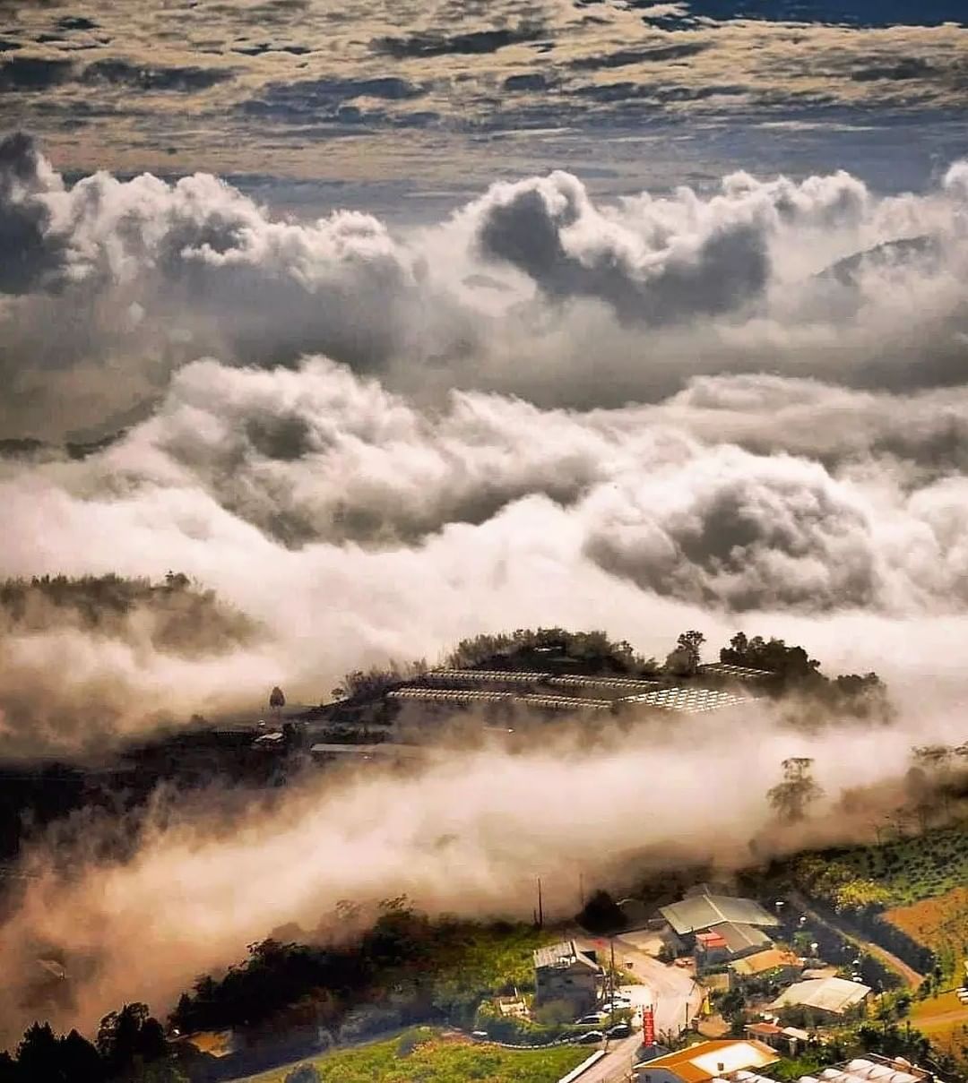 #遠距在家來看阿里山 #防疫不鬆懈 我想，這一天老天爺的心情一定很激動所以才在山上製造這麼磅礡的雲霧（感謝  @erin_ss.8...