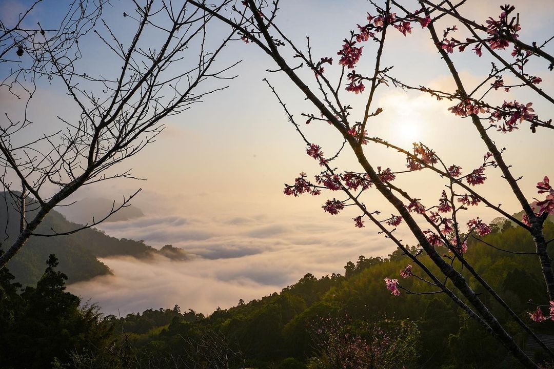 有種靜謐、溫柔的氛圍照片授權 @amb_ww -⠀歡迎在您的貼文 #travelalishan 或 @travelalishan曬...