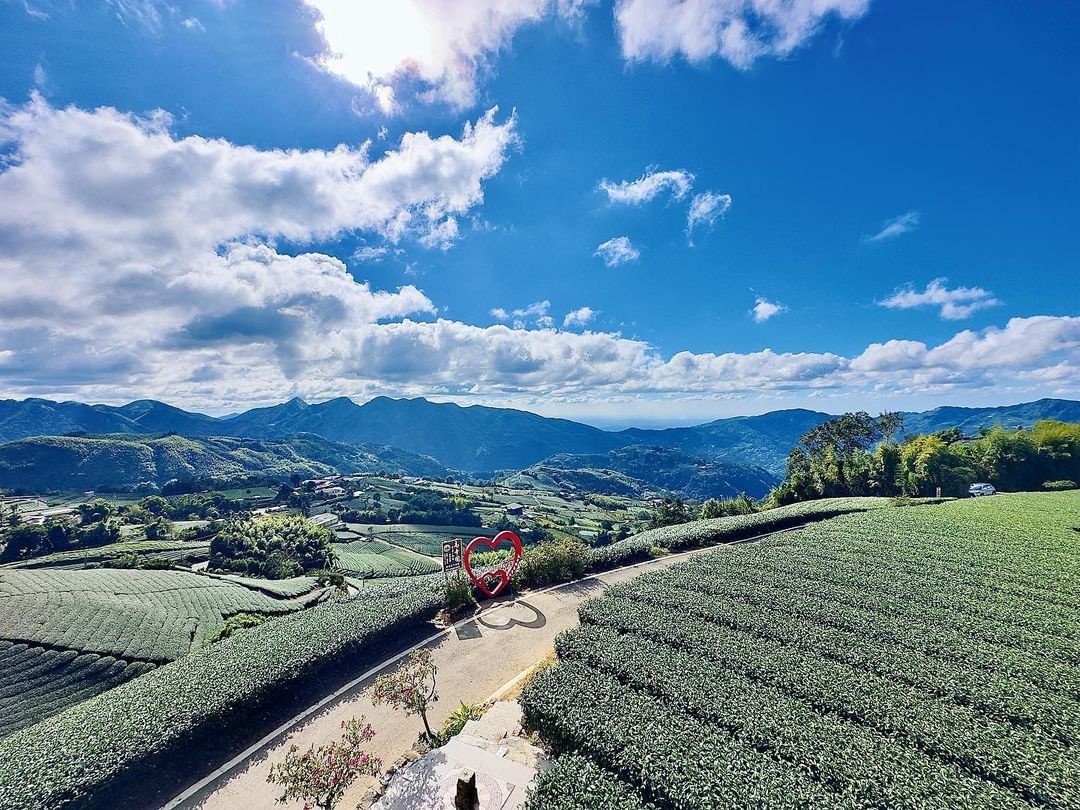 瑞峰1314觀景台一覽無遺的茶園，想念山上的風景與人情味嗎？近期終於少下點雨了，很適合上山放鬆心情唷✌️照片授權 @jyun_04...