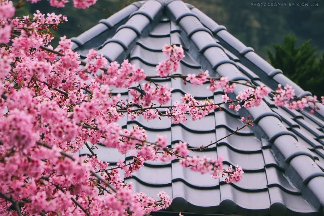 像是在日本看的景色小角落的特殊美感歲月靜好我們都要好好的。 嘉義縣梅山鄉樟樹湖27號（感謝 @xion_type_r 分享美照）-...